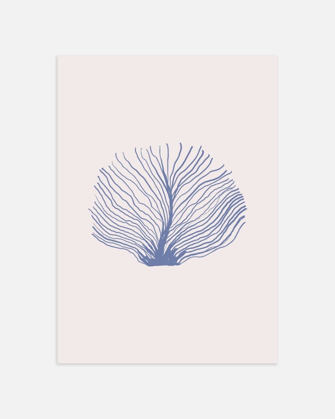 Blauwe koraal structuur Poster