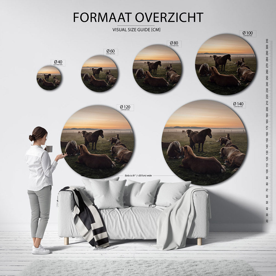 Paarden in landschap Muurcirkel