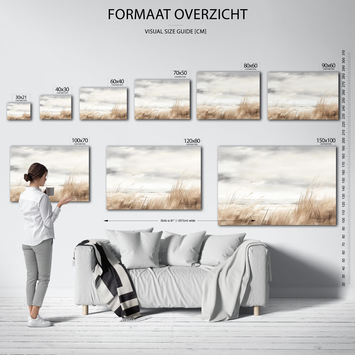Duingras en lucht Poster