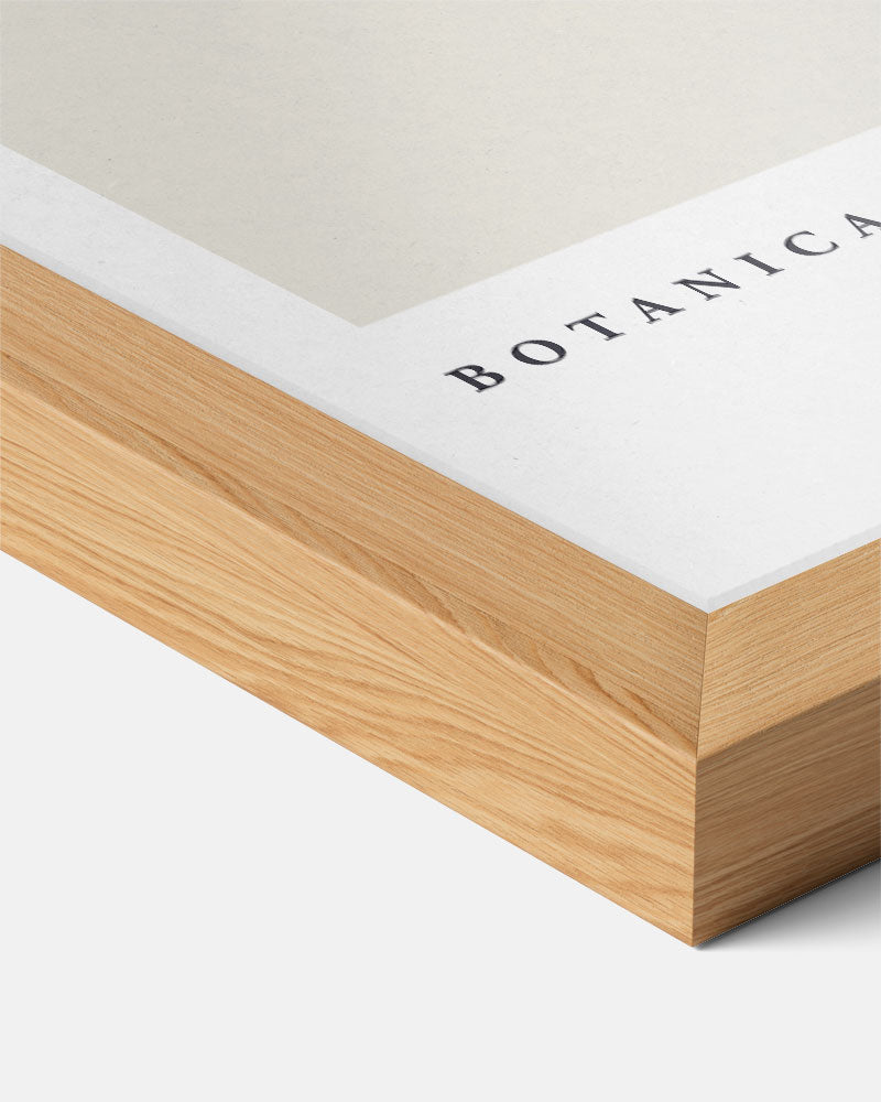 Botanica Elegante Bloemenposter-WallArtistic
