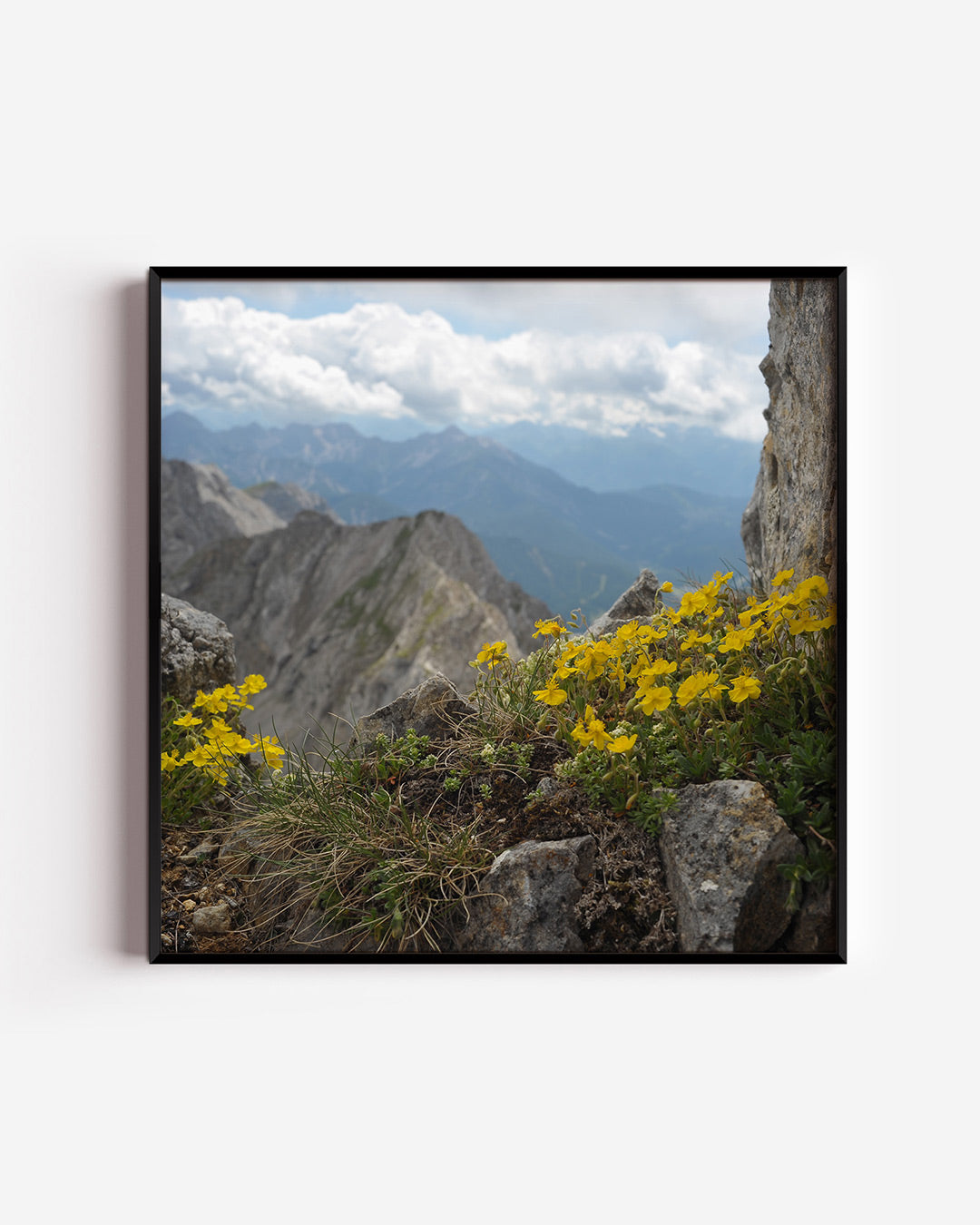 Berglandschap met bloemen Poster