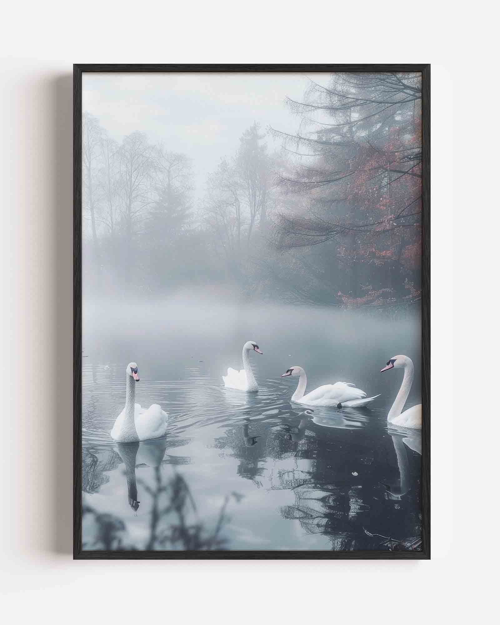 Zwanen in mistige vijver Poster