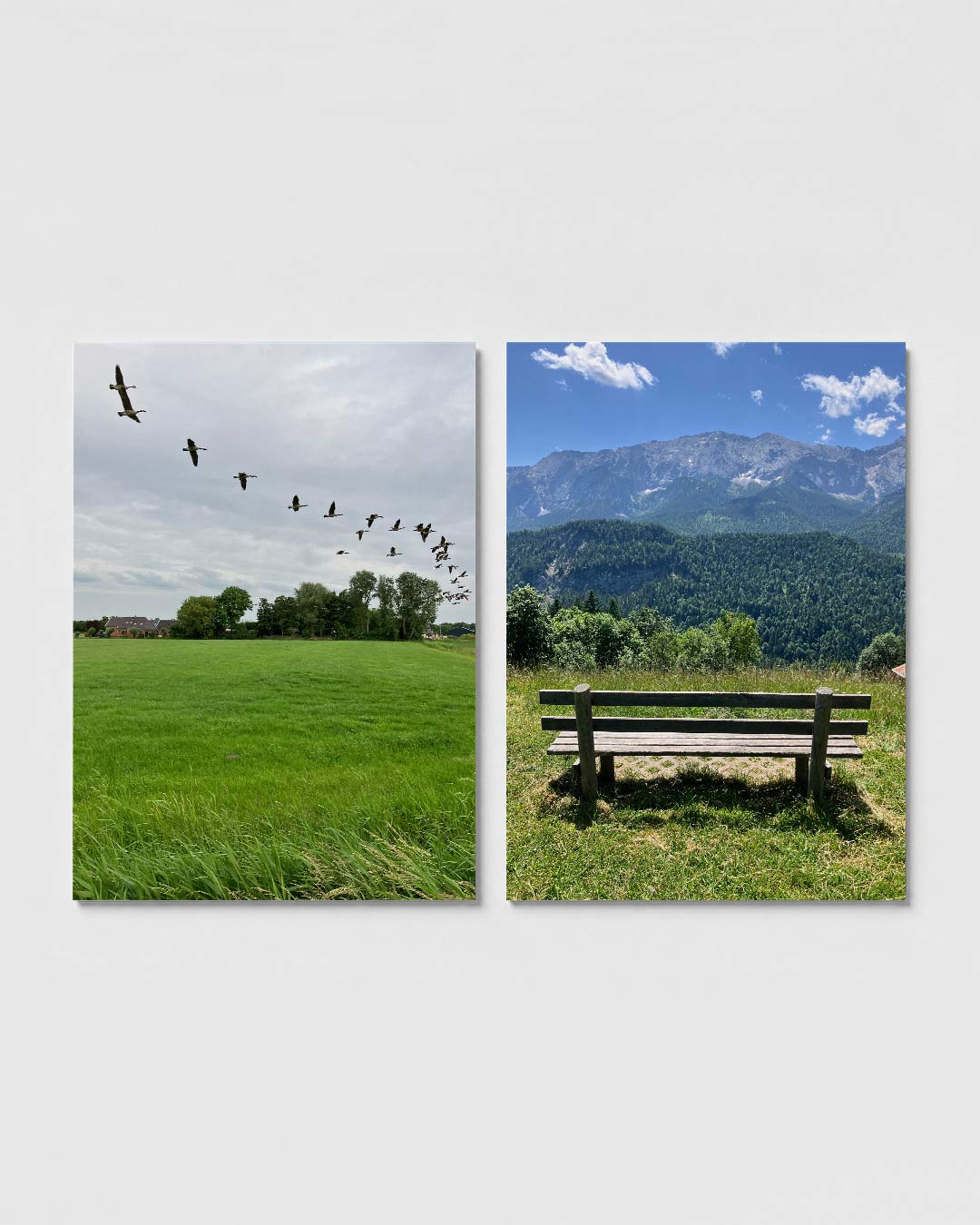 Vogelvlucht over weide Posterset