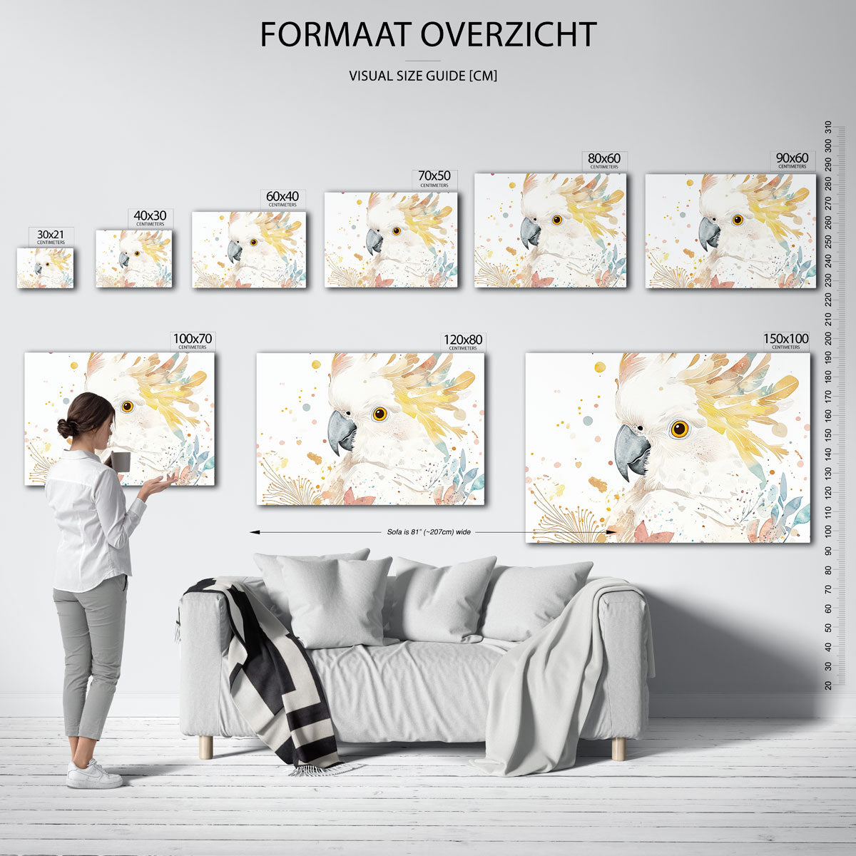 Papegaai met kleurrijke veren Poster