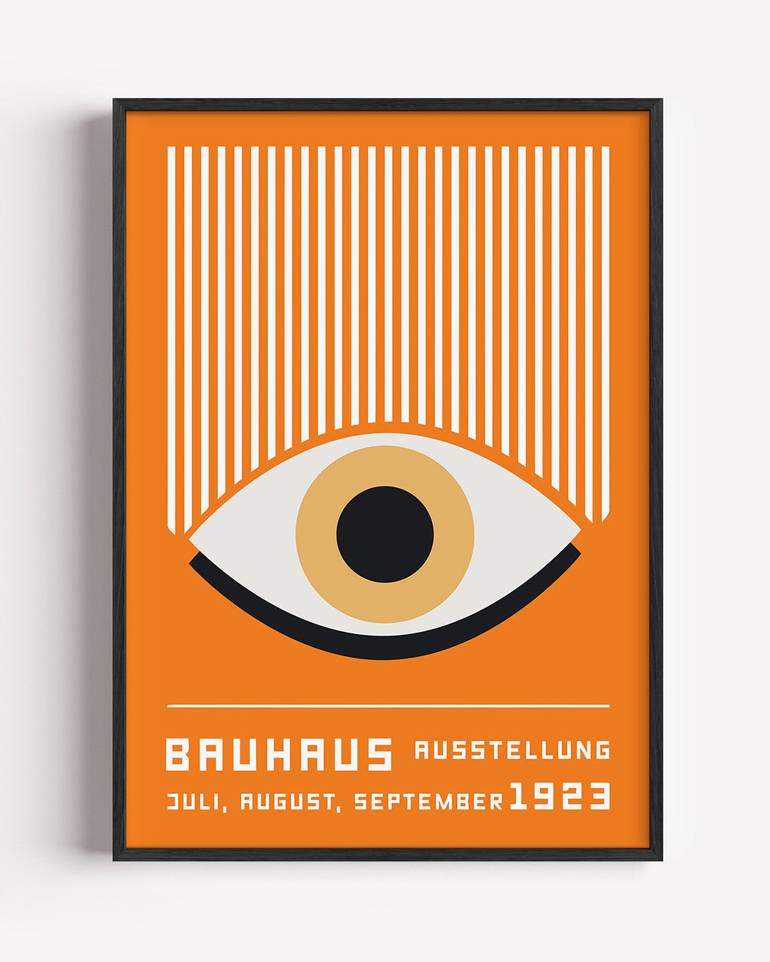 Oog en lijnen Poster