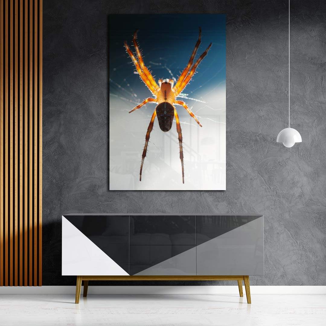 Betoverende spinnenwebkunst Poster-WallArtistic