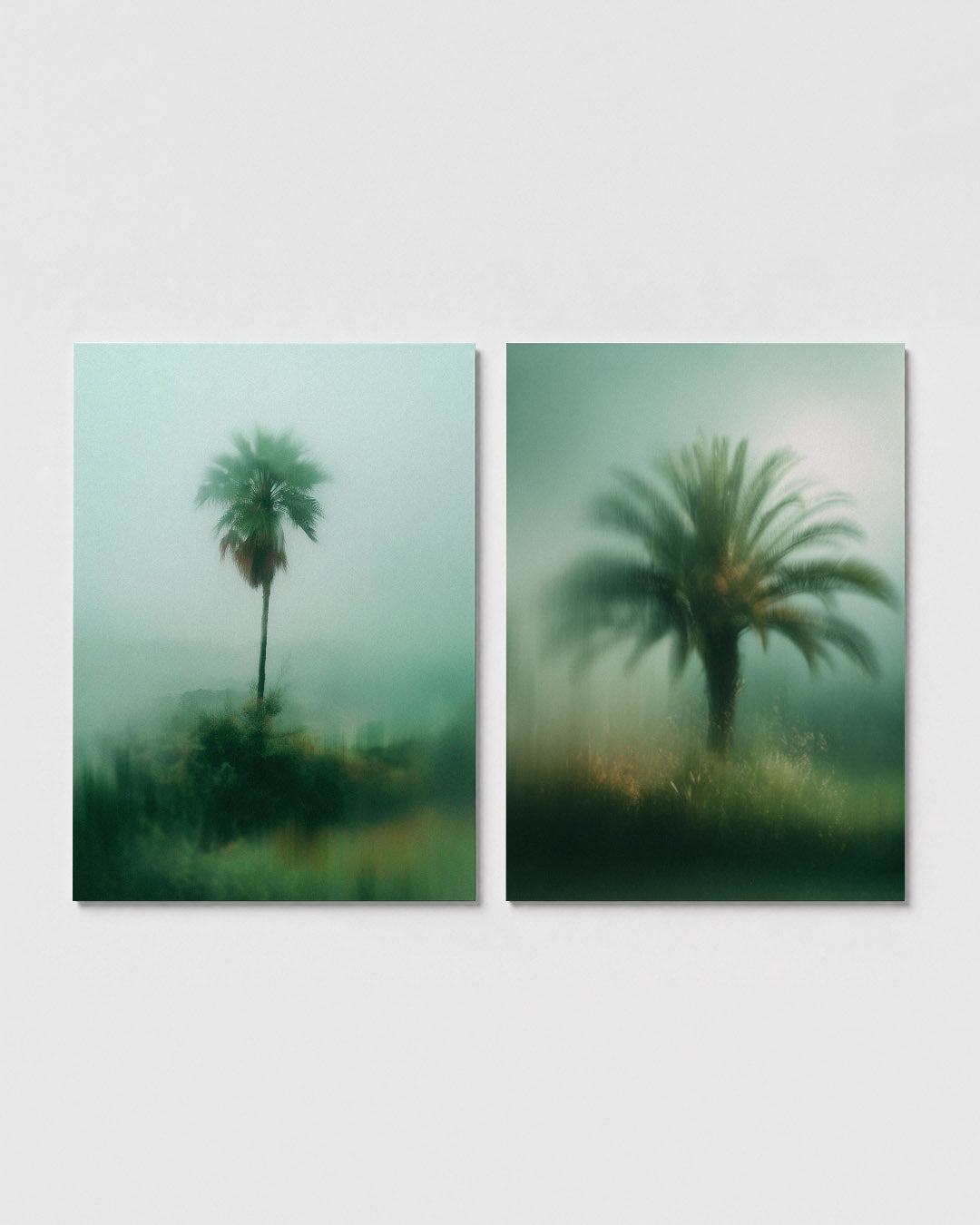Mistige palm Posterset