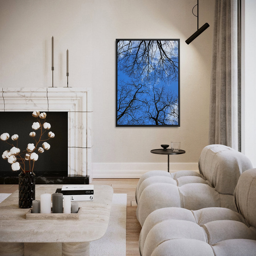 Boomtakken tegen lucht Kunstwerk