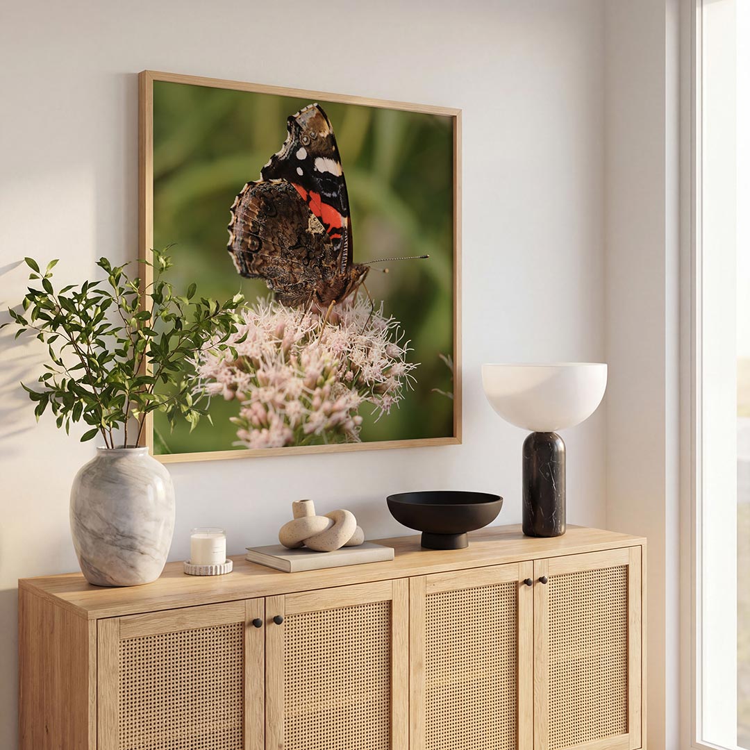 Vlinder op bloem Poster