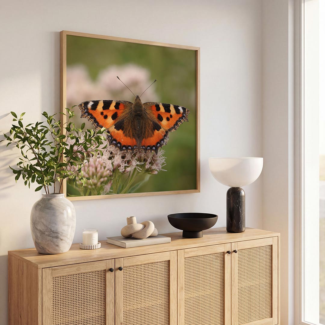 Vlinder op bloem Poster