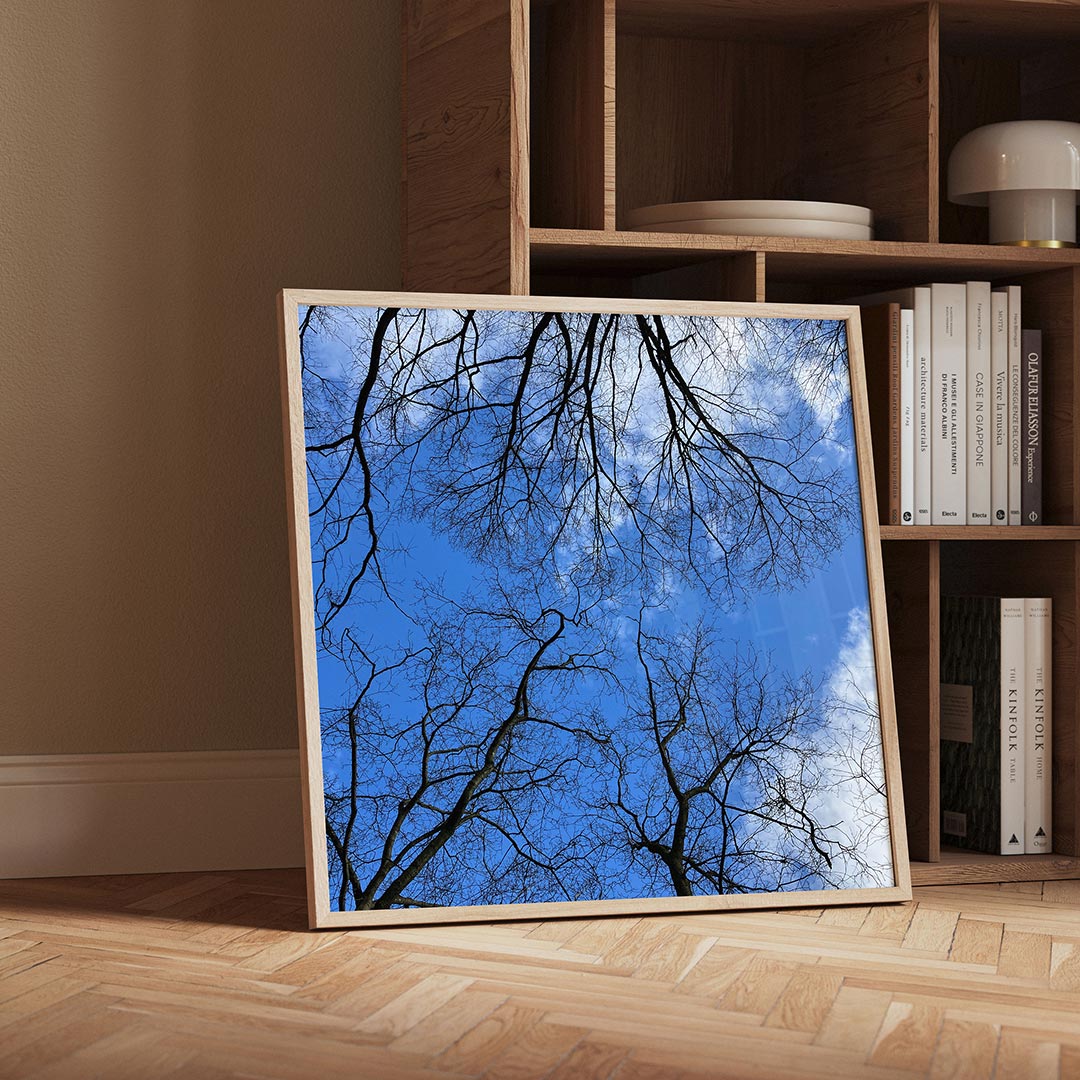 Boomtakken tegen lucht Poster