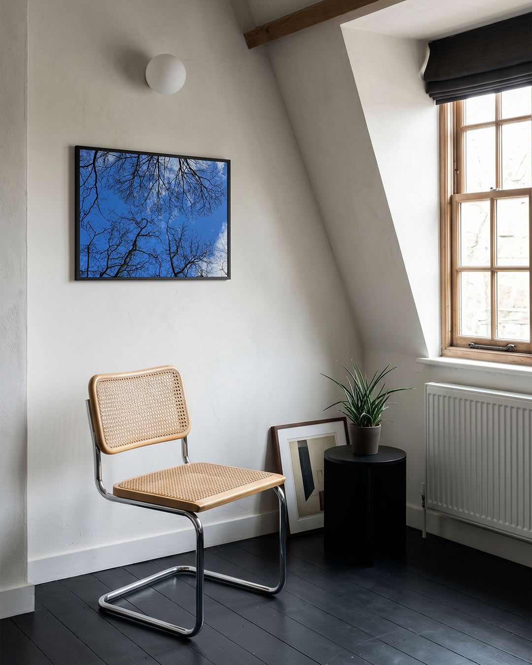 Boomtakken tegen lucht Poster
