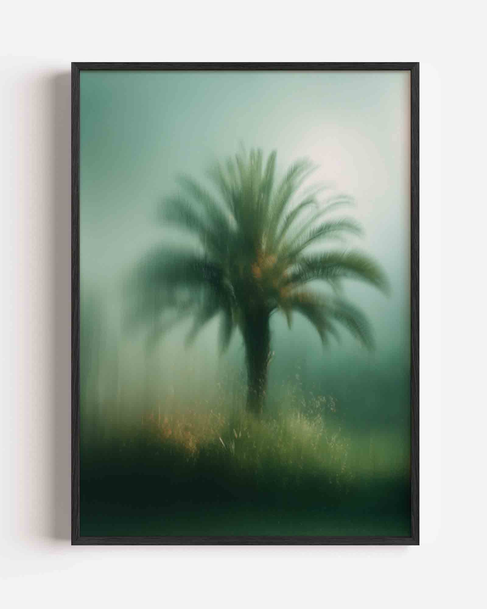 Palmboom in mist Poster