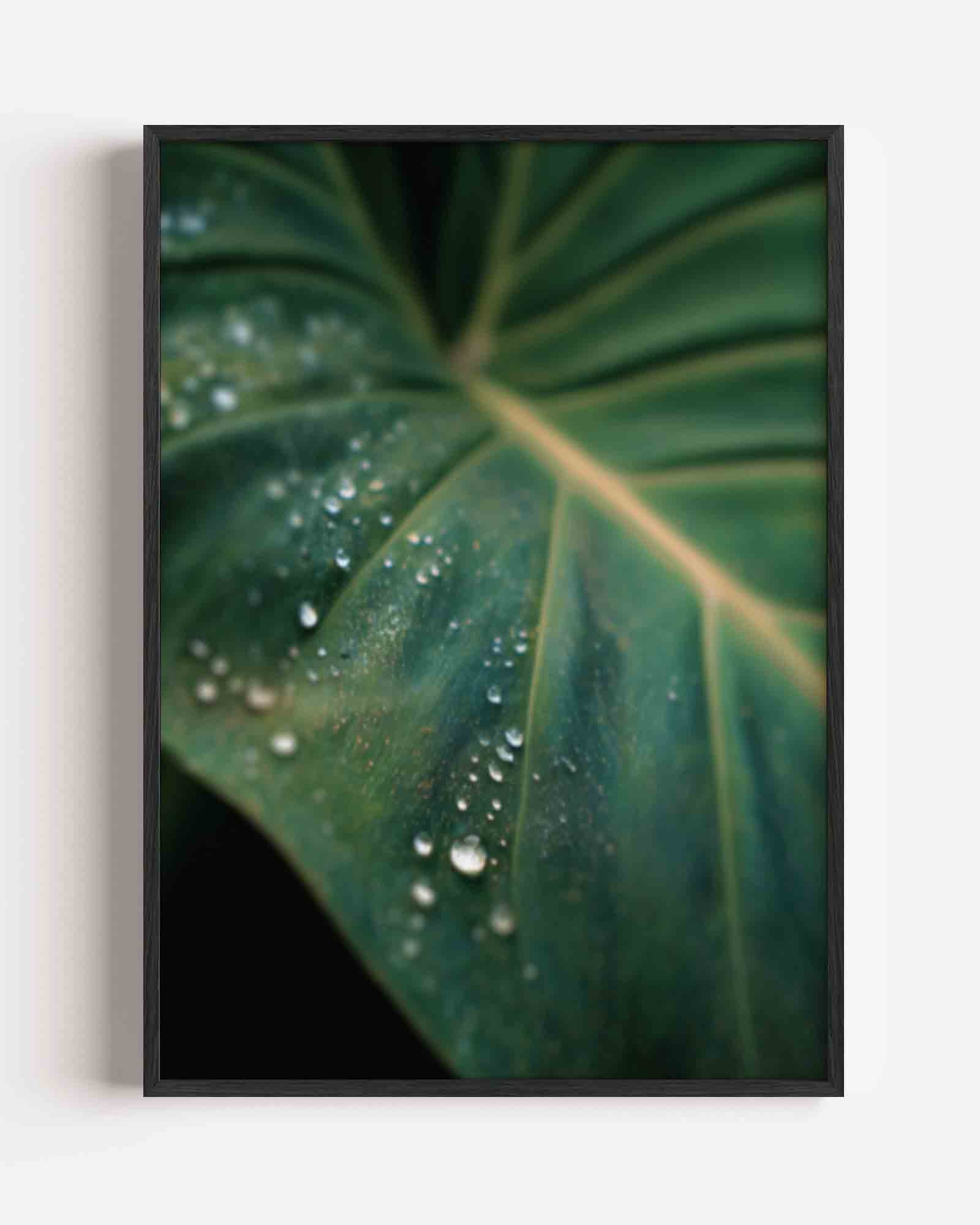 Groen blad met dauwdruppels Poster