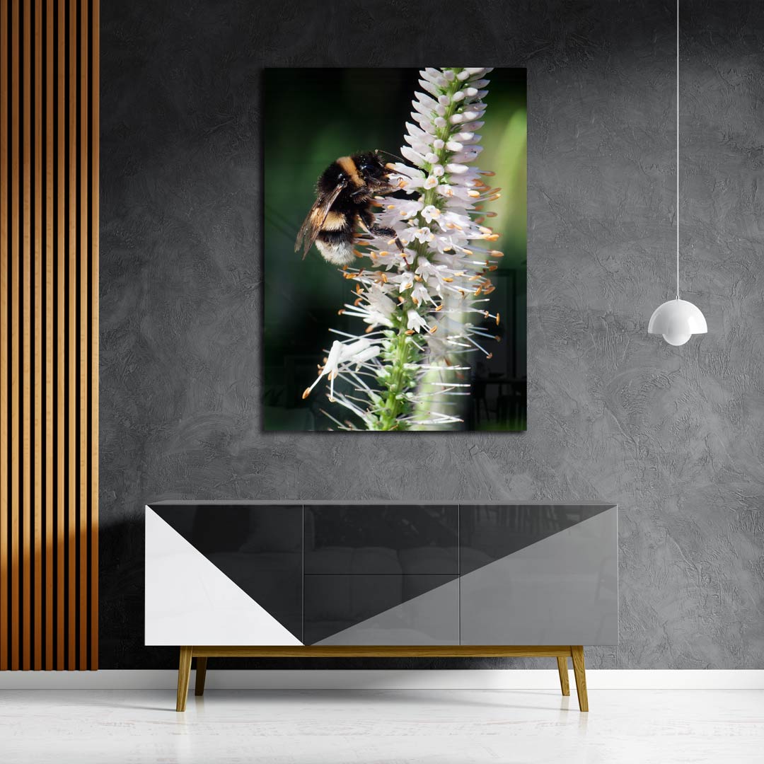 Vrolijke Hommel op Bloem Poster-WallArtistic