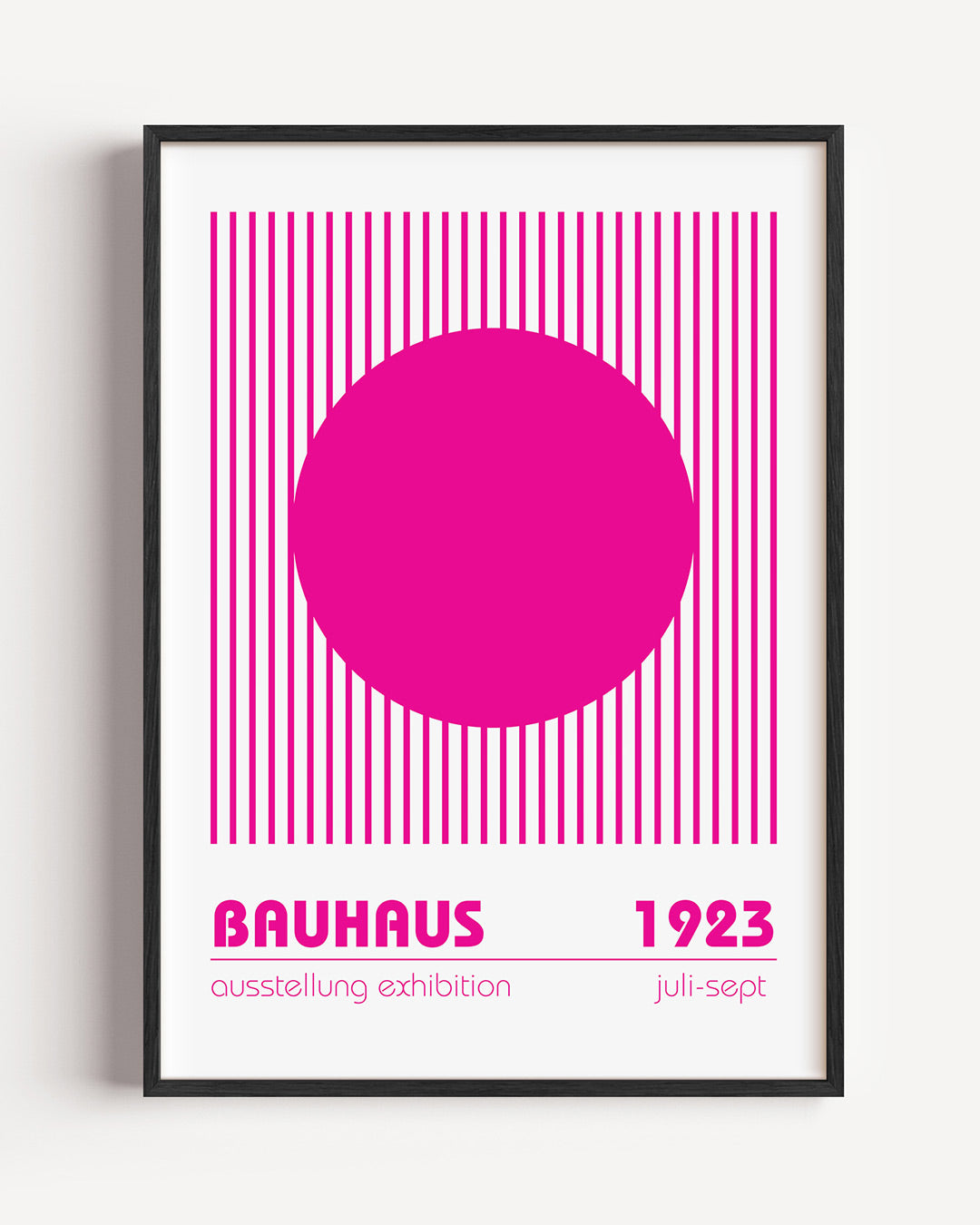 Cirkel en lijnen Poster