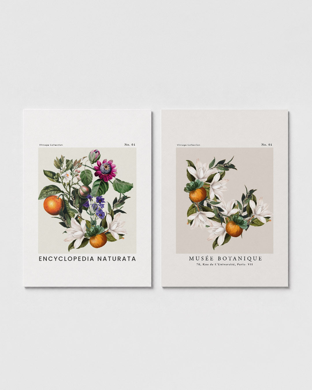 Botanische bloemrijkdom Posterset