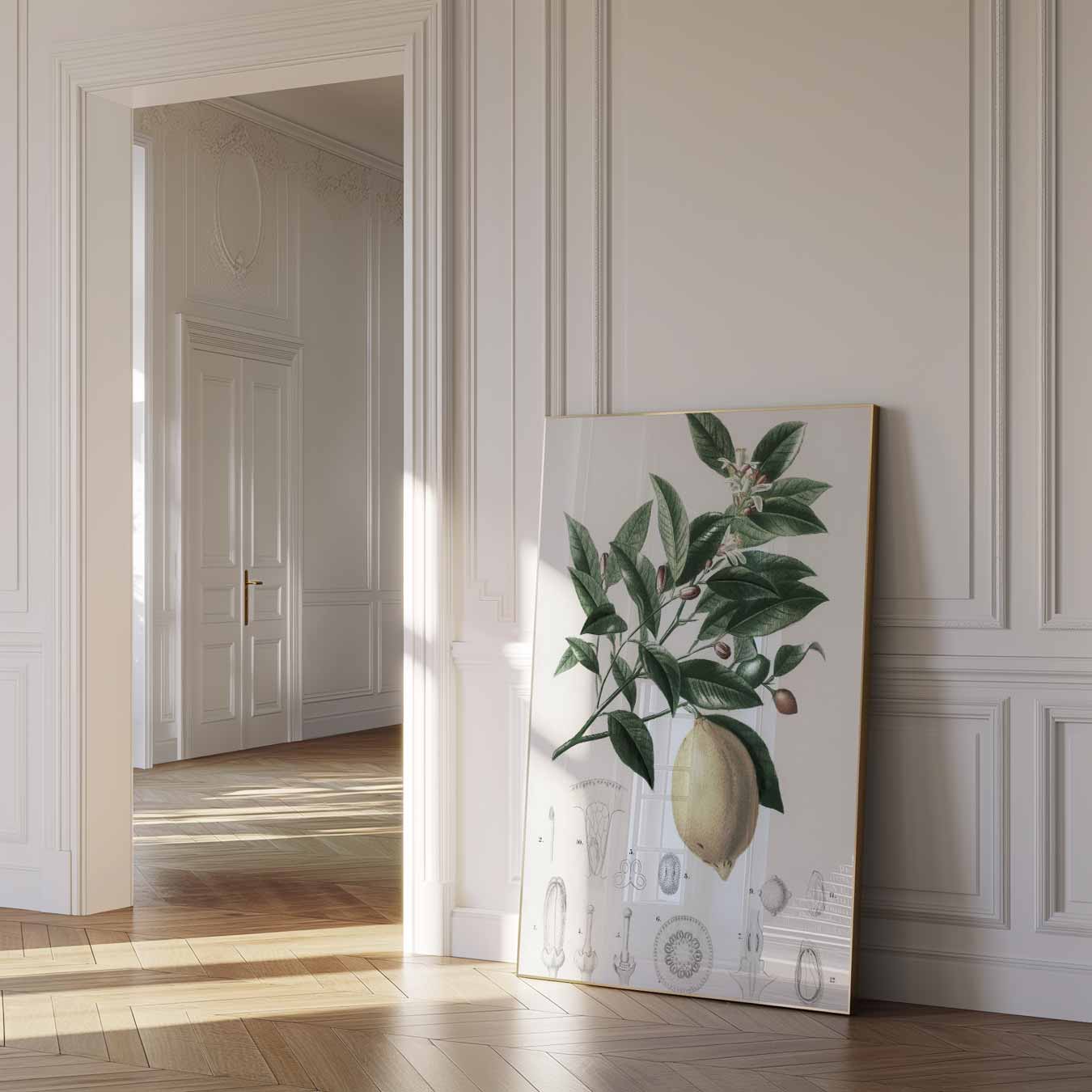 Botanische Citroenprint Poster-WallArtistic
