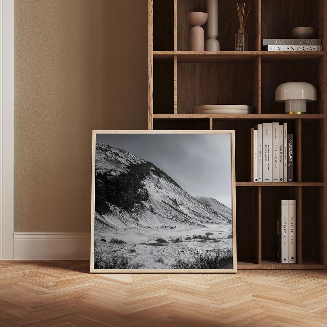 Besneeuwde bergen Poster