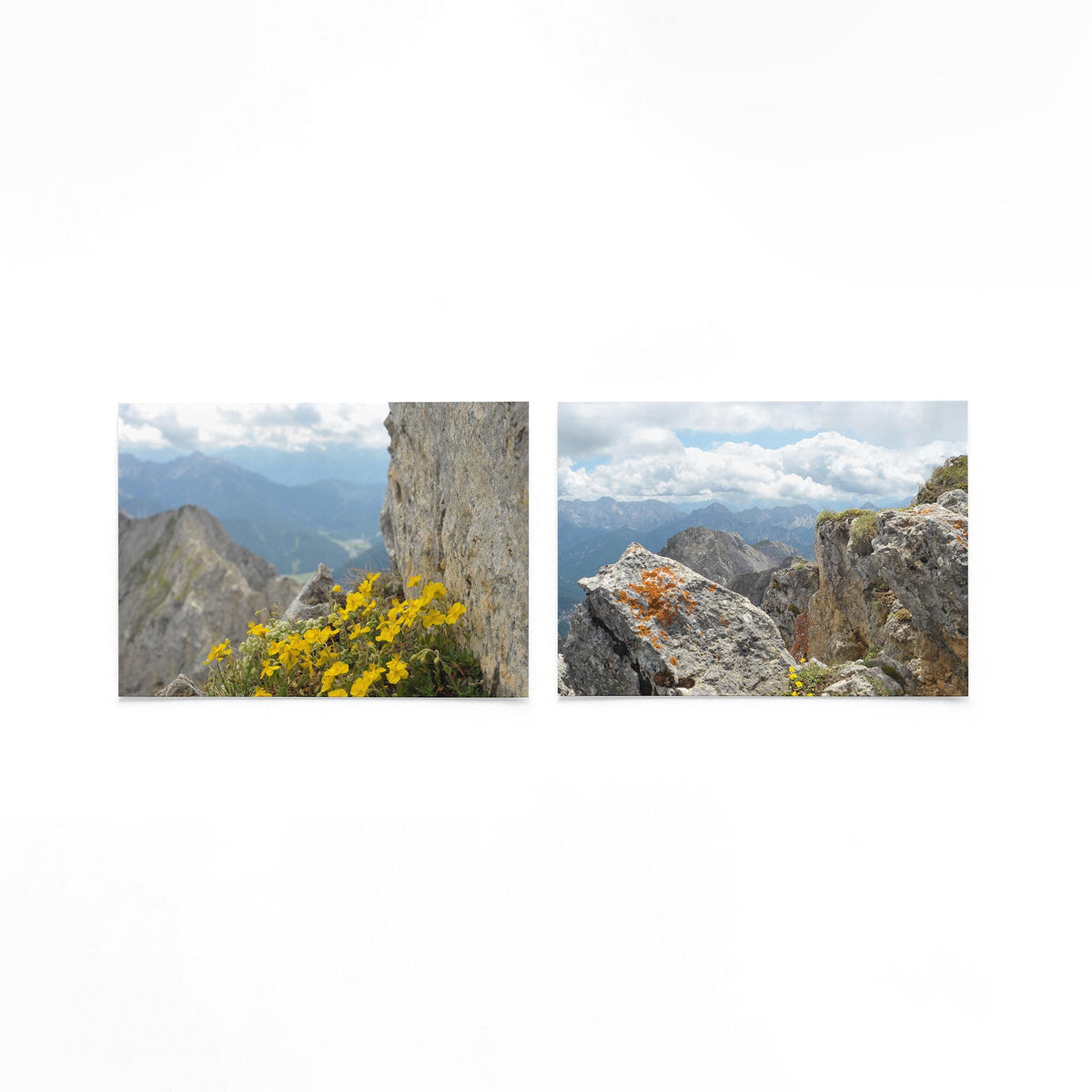 Productfoto van twee liggende posters met alpenrots en gele bloemen – Gerald Emming