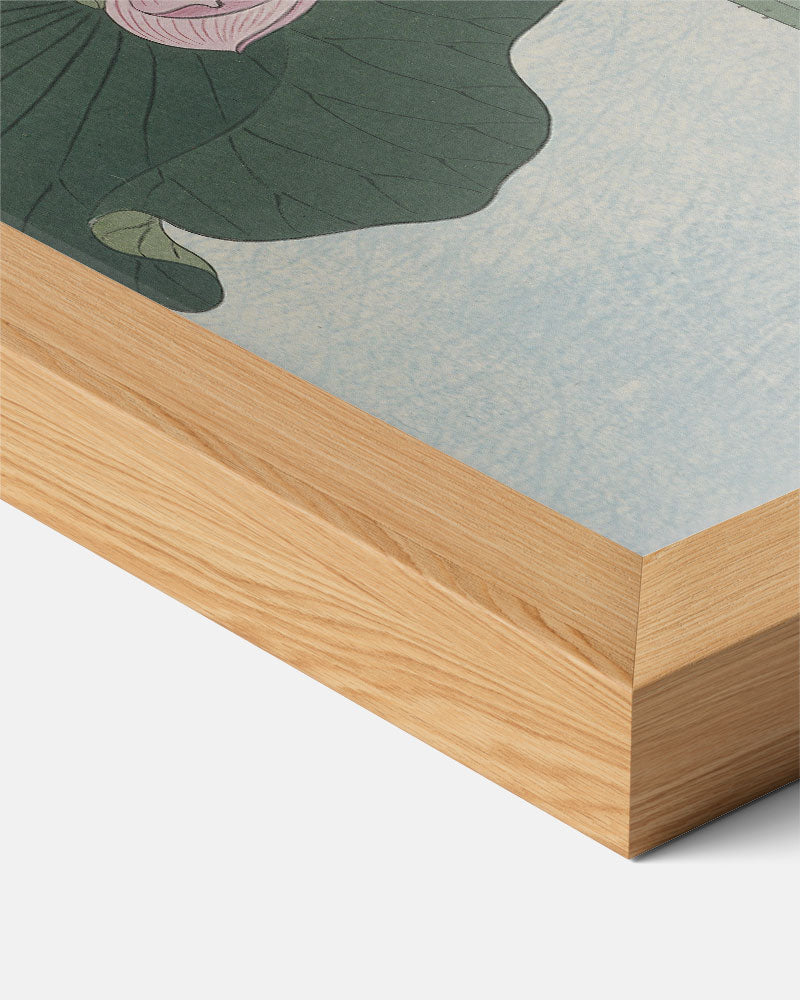 Elegante Lotus Kunstprint Poster-WallArtistic