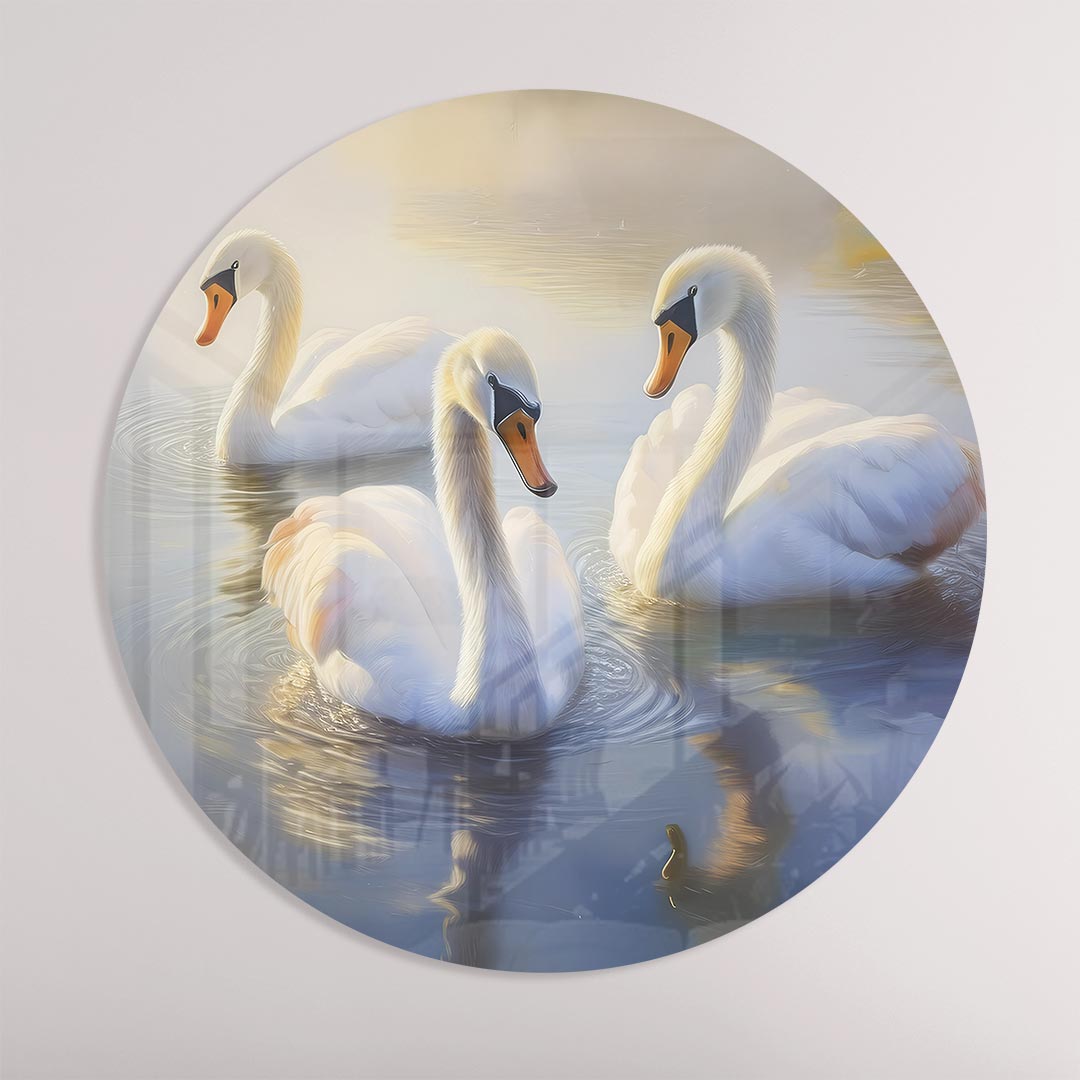 Elegante Zwanen in Ochtendnevel Muurcirkel-WallArtistic