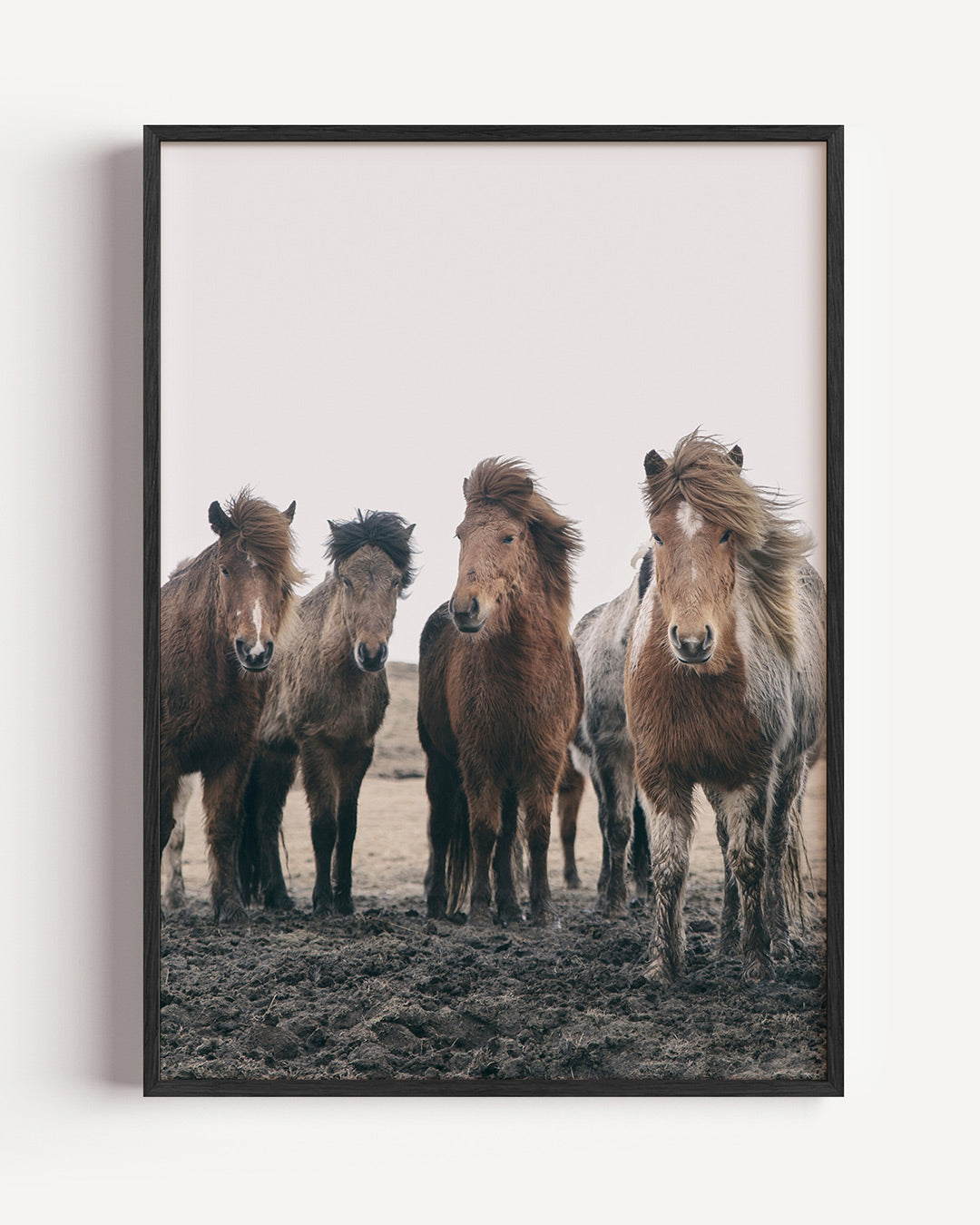 Groep paarden Poster