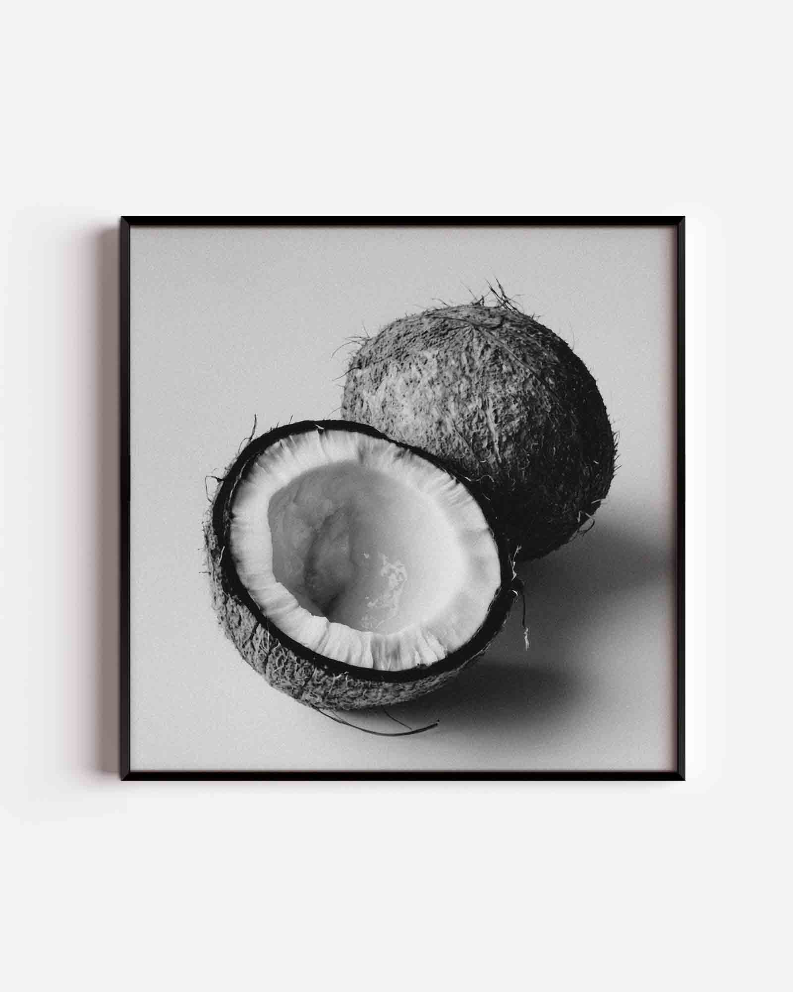 Kokosnoot zwart wit Poster