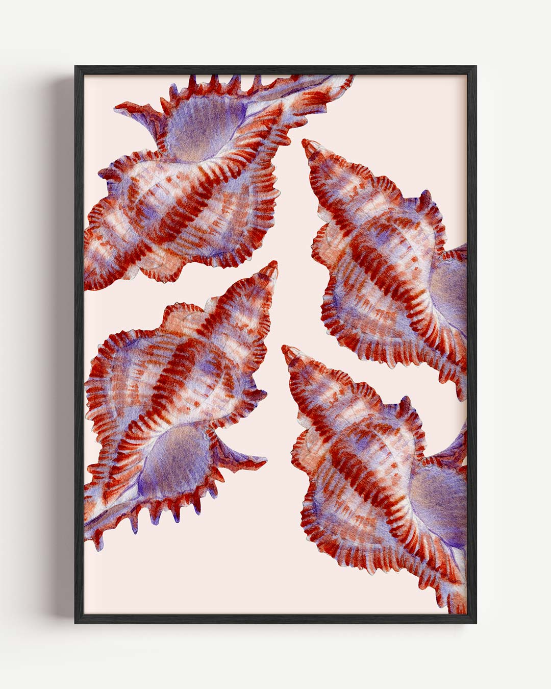 Rode en paarse schelpen Poster-WallArtistic
