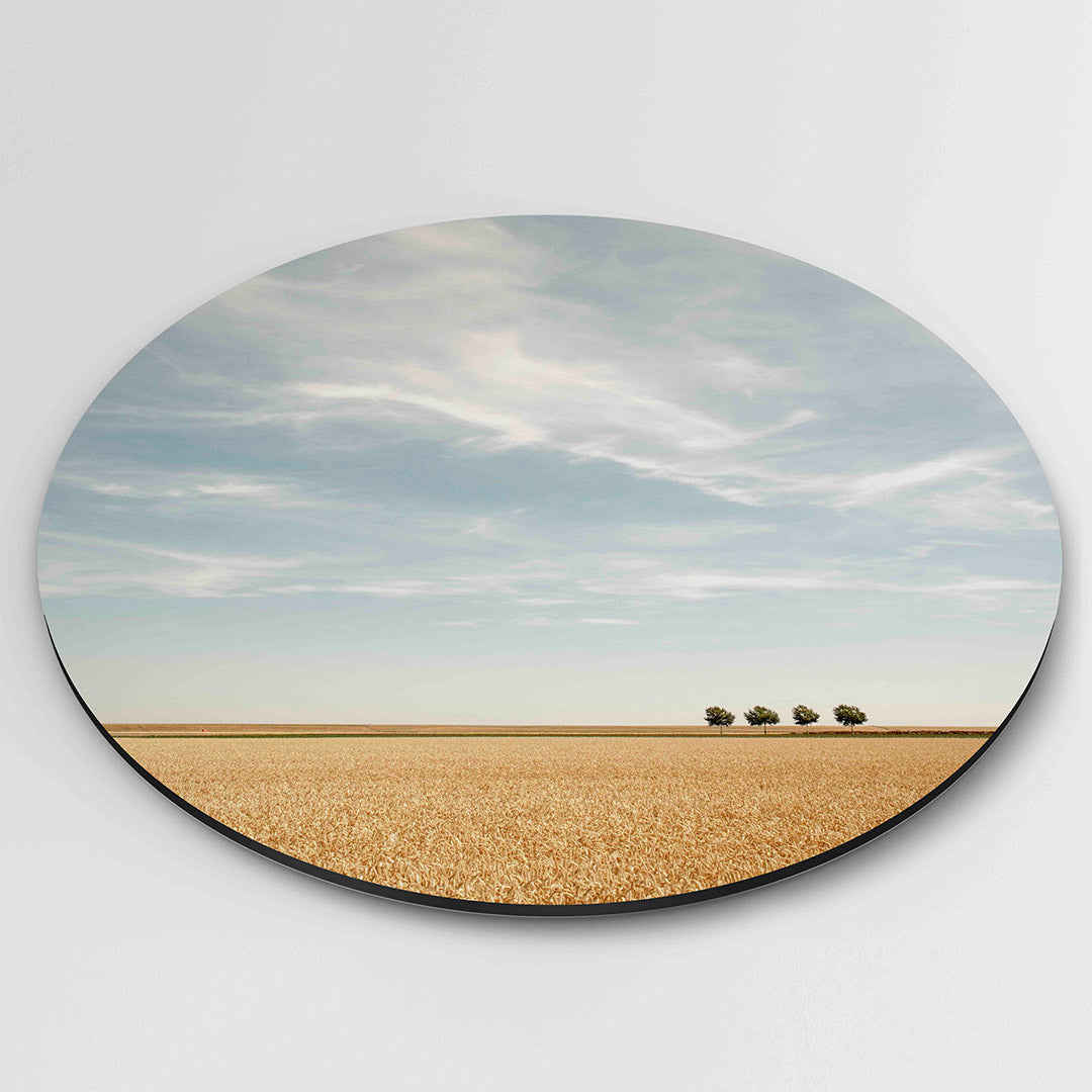 Landschap met bomen Muurcirkel