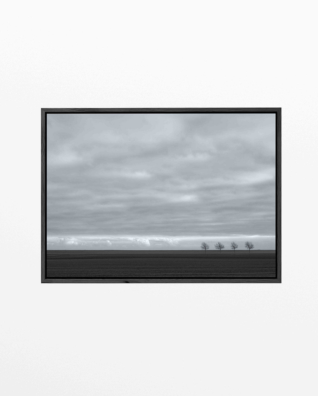 Rustige landschap Kunstwerk