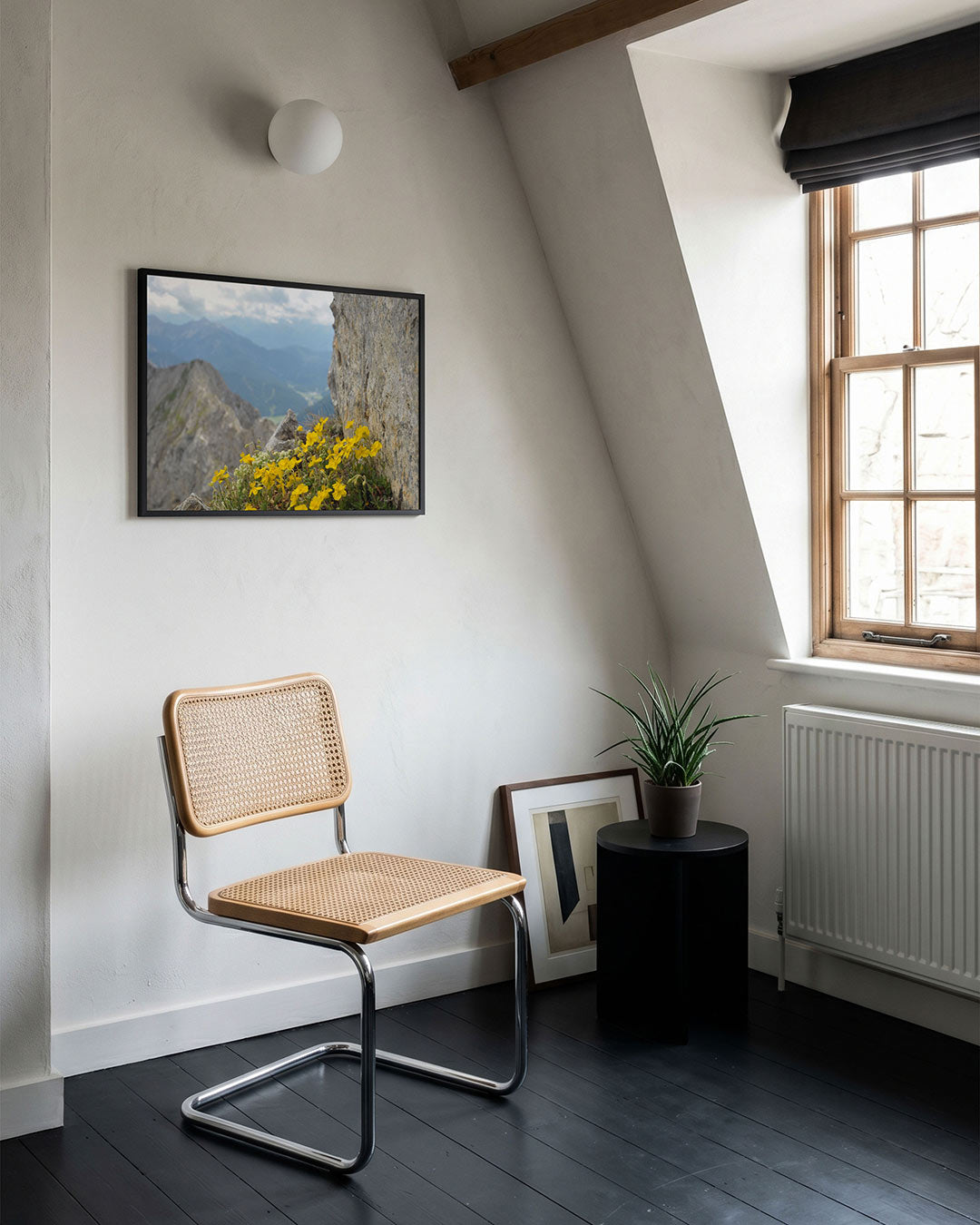 Bergbloemen en rotsen Poster