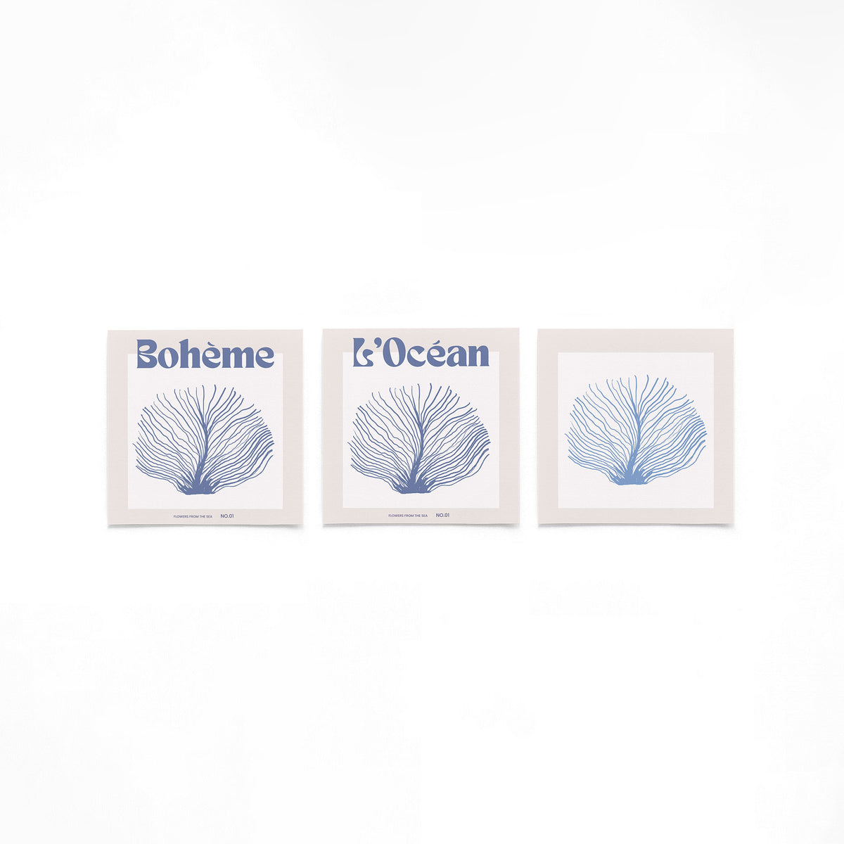 Drie vierkante posters met blauwe zeebloem op een gebroken witte achtergrond