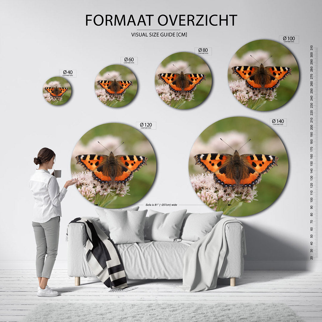 Vlinder op bloemen Muurcirkel