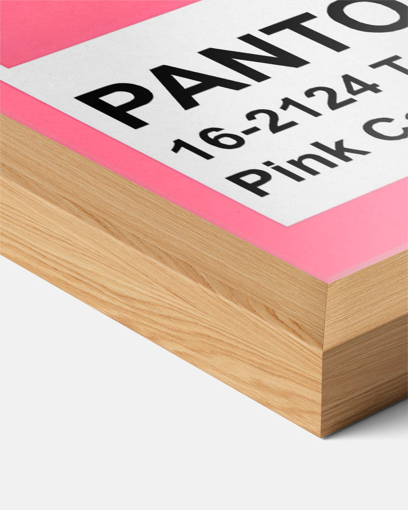 Pantone Pink Carnation Poster-WallArtistic