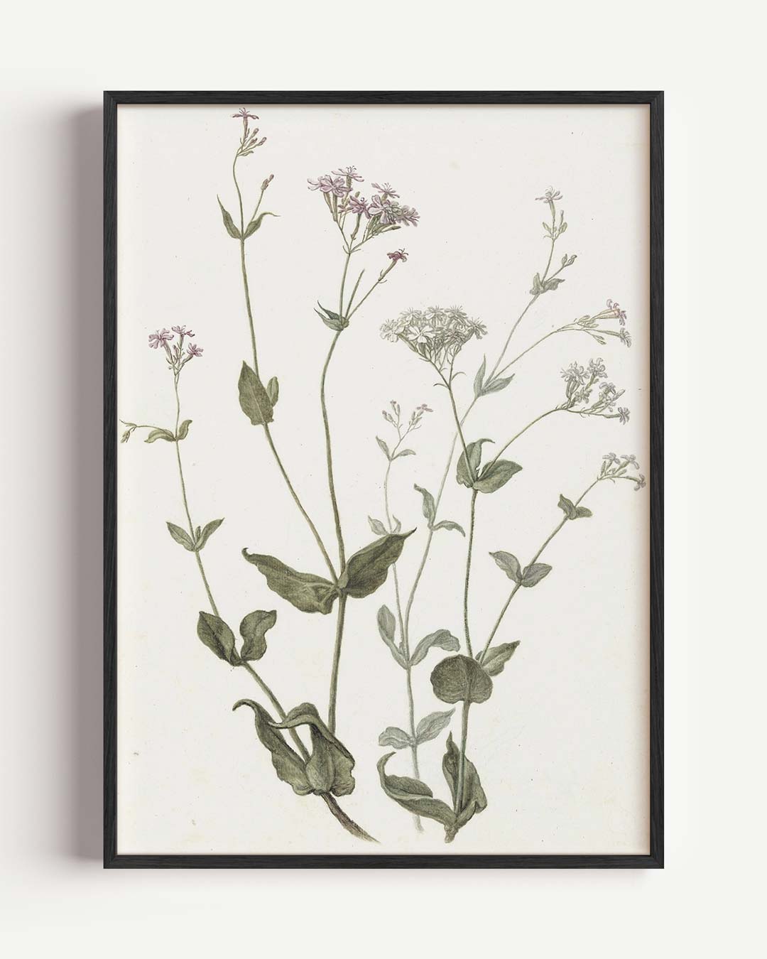 Botanische Bloemenposter-WallArtistic