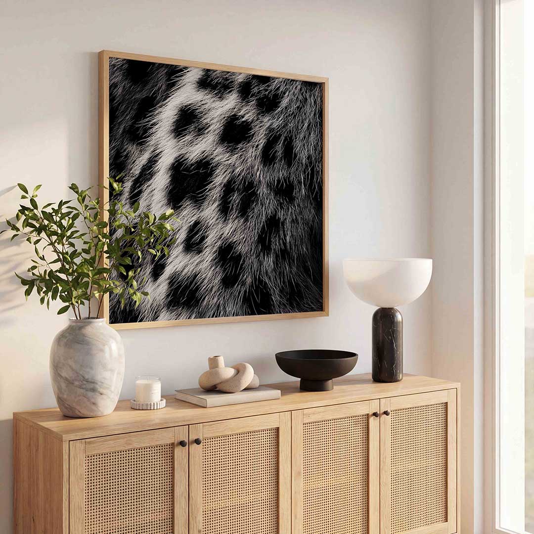 Zwart witte vacht Poster