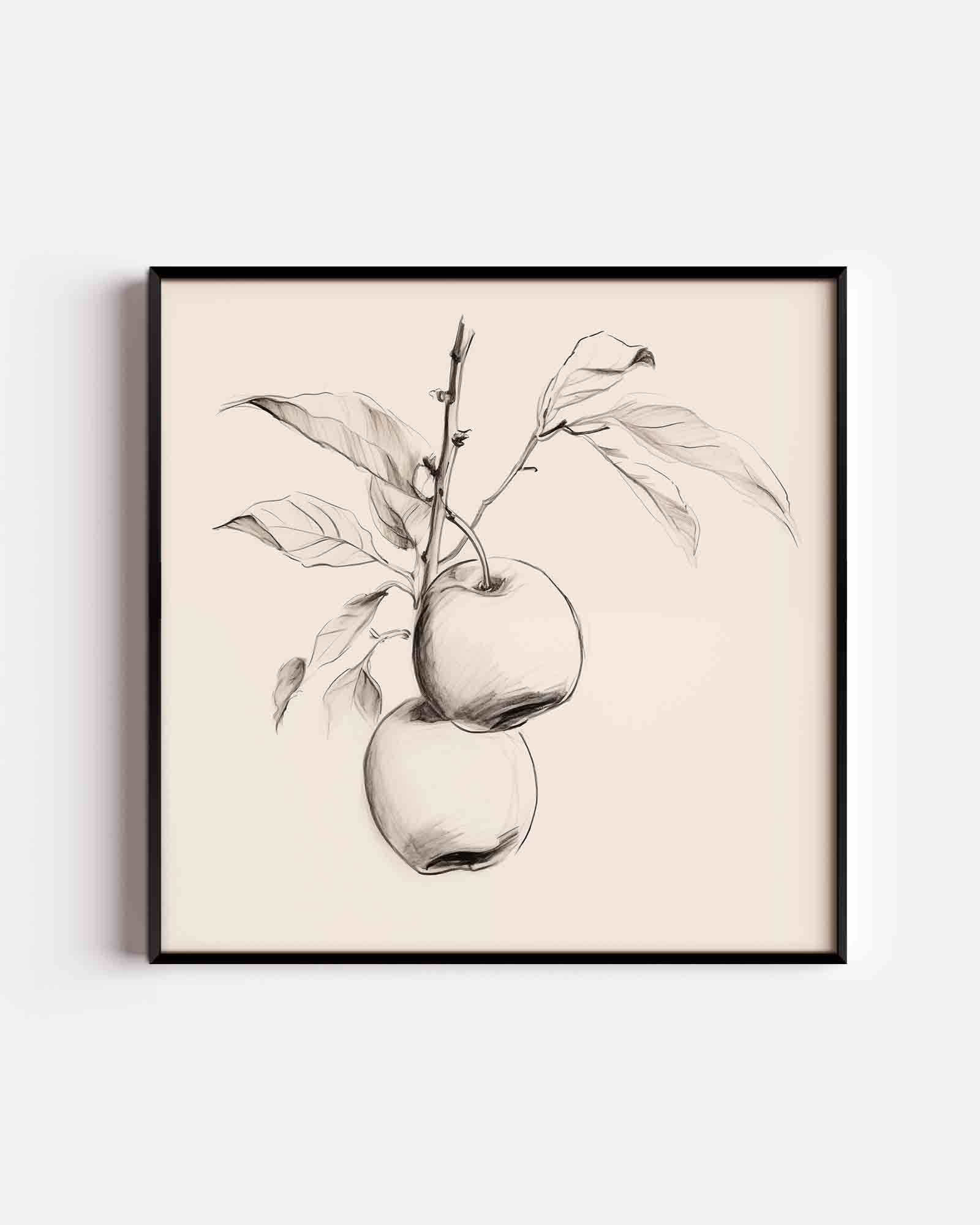 Twee appels aan tak Poster