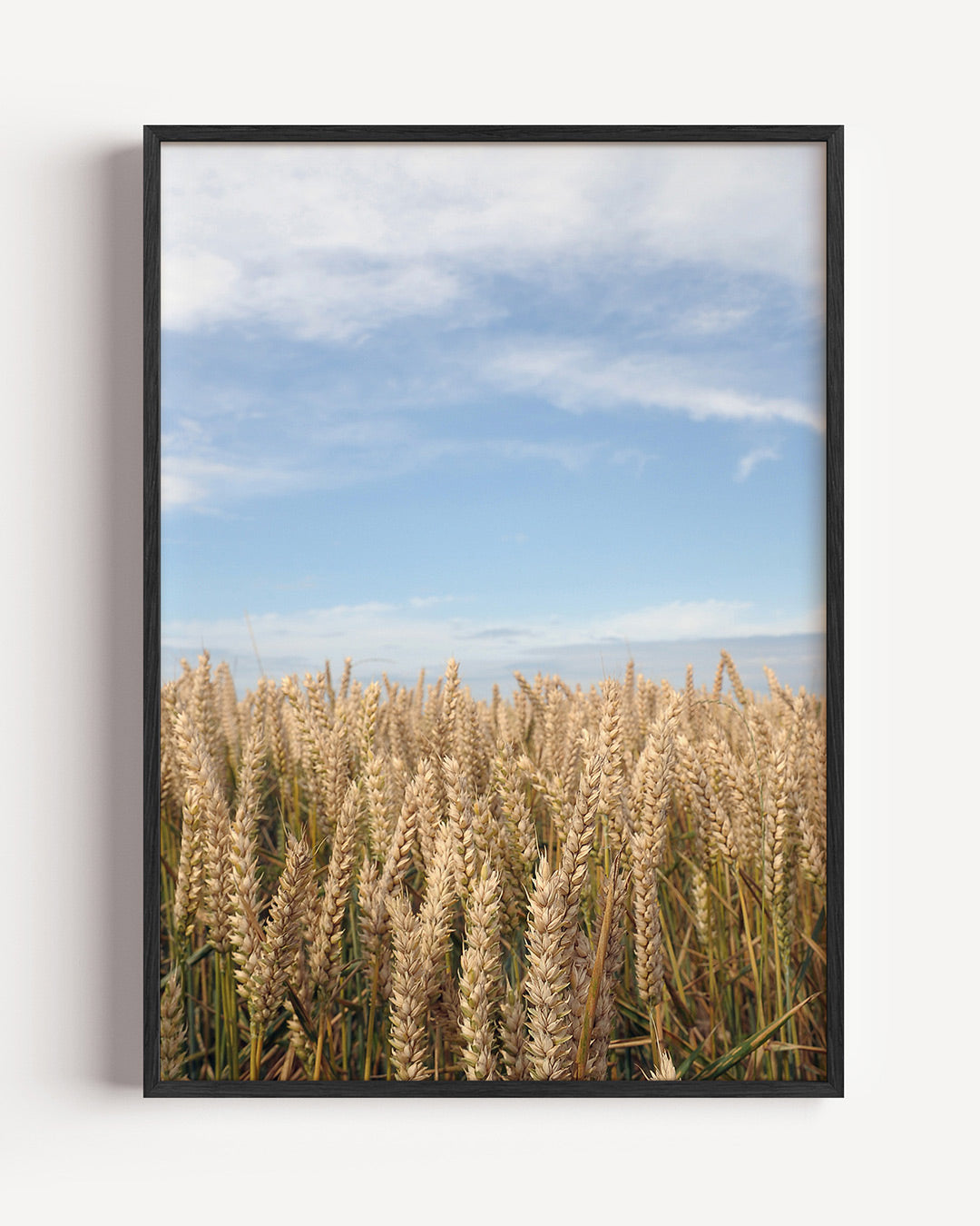 Tarweveld Poster