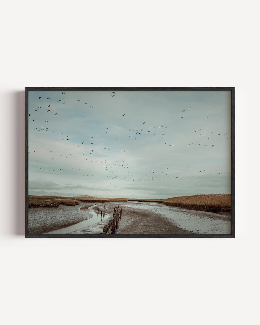 Vogels boven landschap Poster