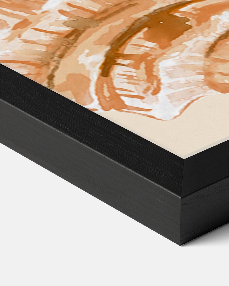 Oranje Schelpen Poster-WallArtistic