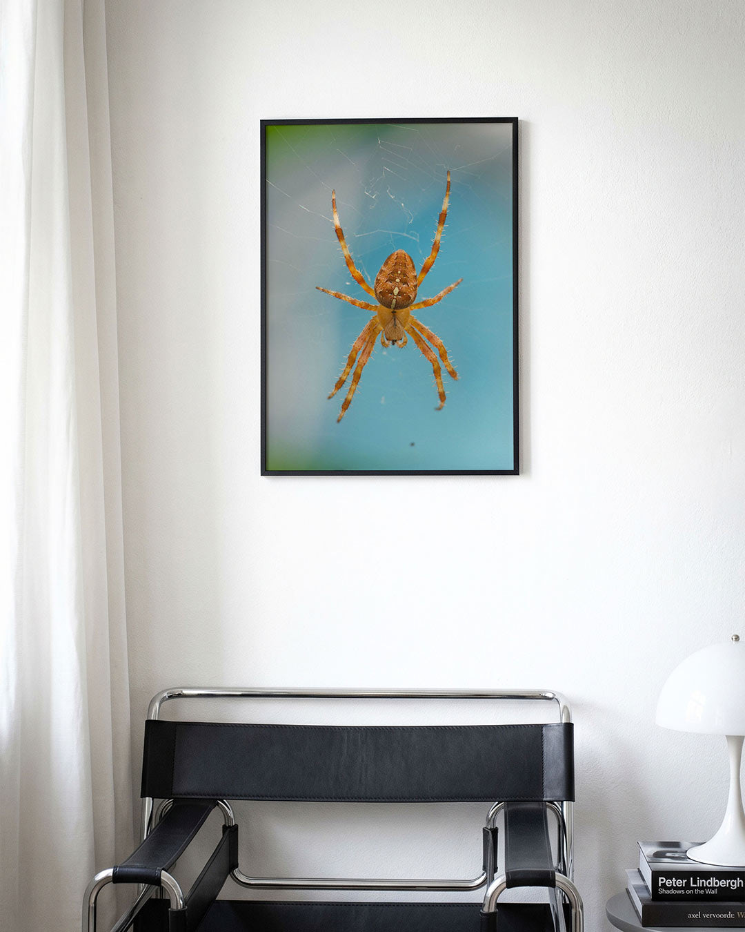 Spin in web Poster