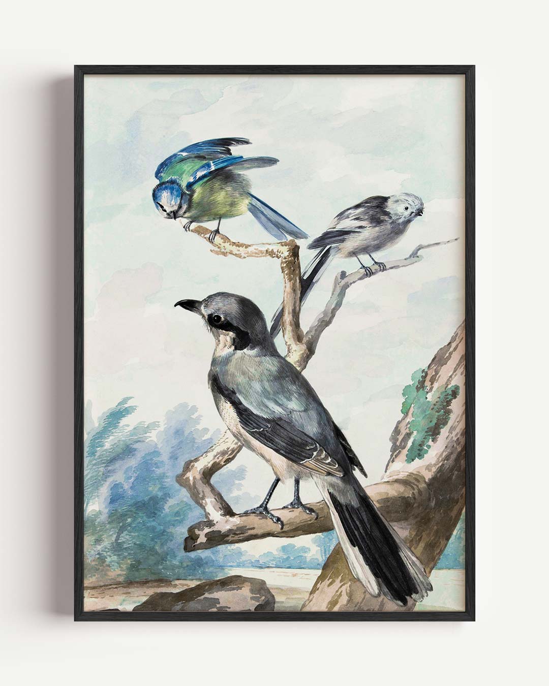Vrolijke Vogels in de Natuur Poster-WallArtistic