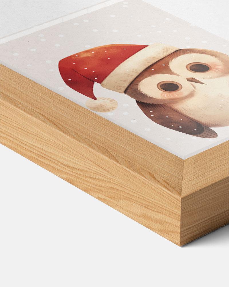 Winterse Uilenposter-WallArtistic