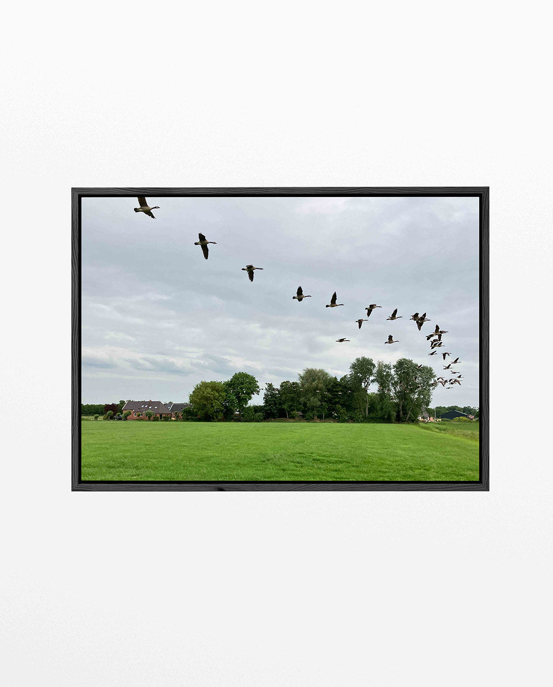 Vliegende vogels Kunstwerk