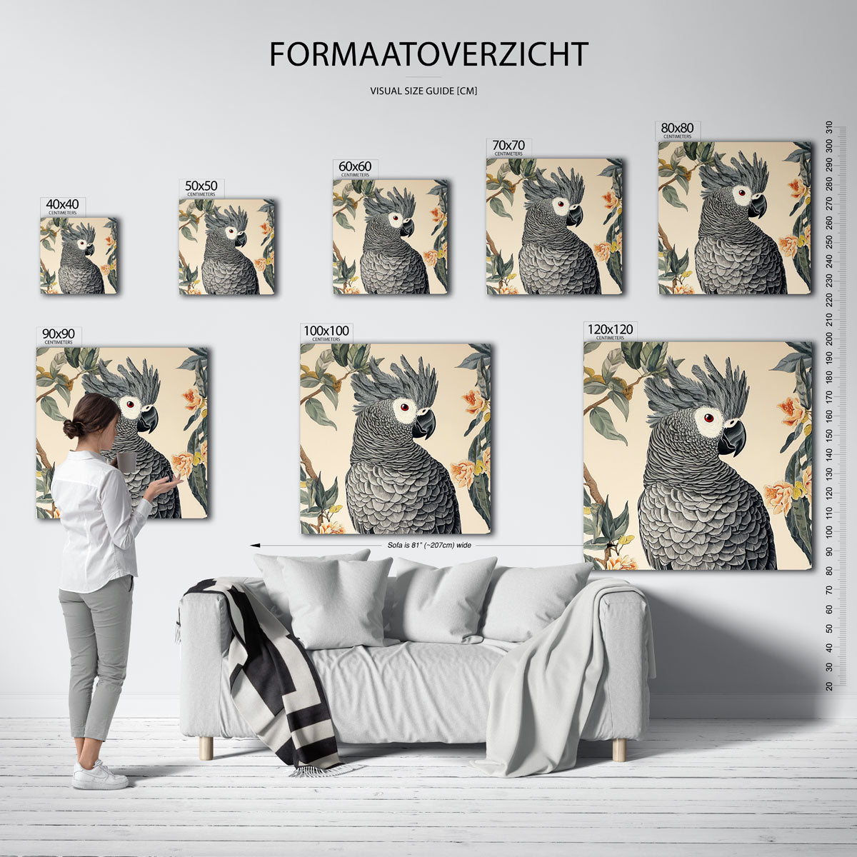 Grijze papegaai Poster