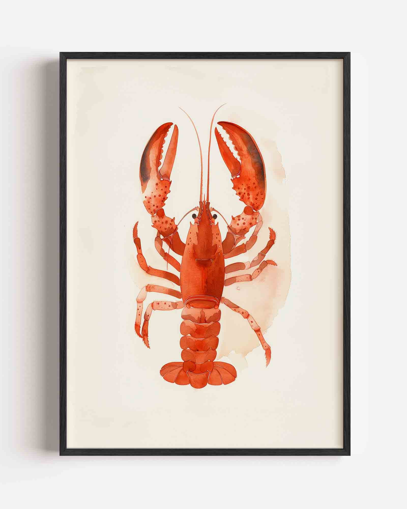 Rode kreeft Poster
