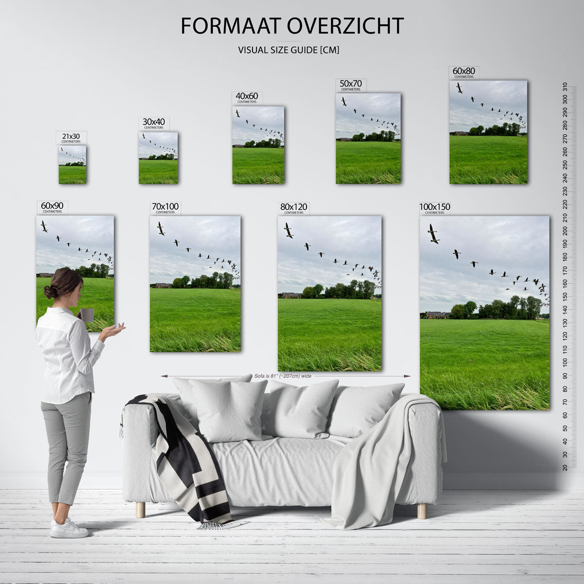 Vliegende vogels Poster