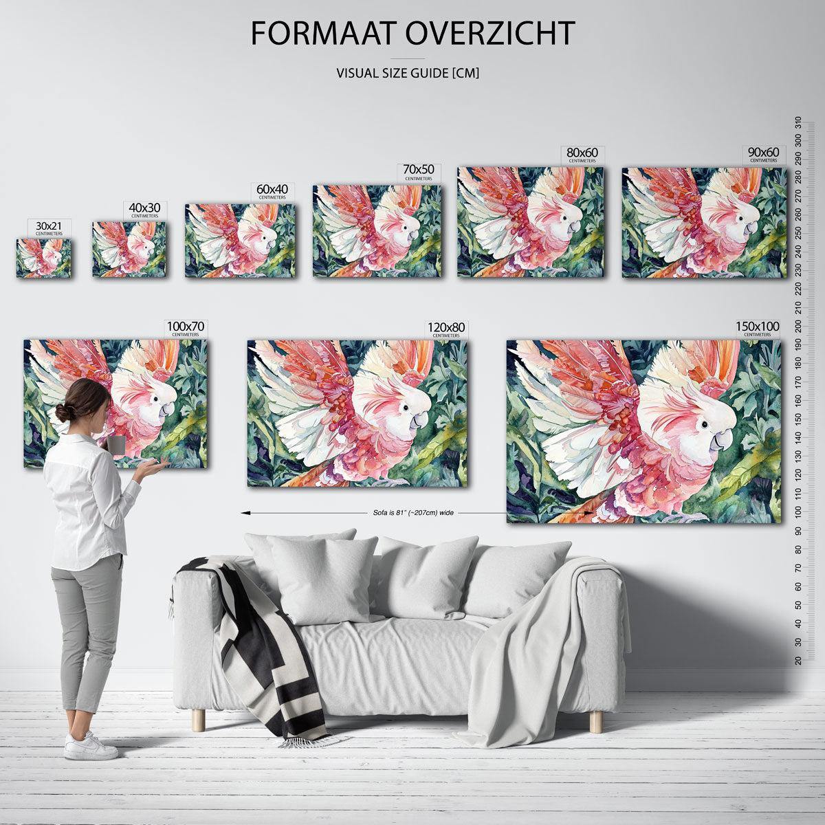 Papegaai met kleurrijke veren Poster