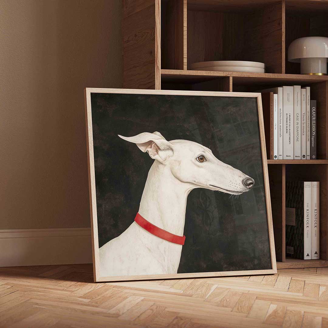 Witte windhond Poster